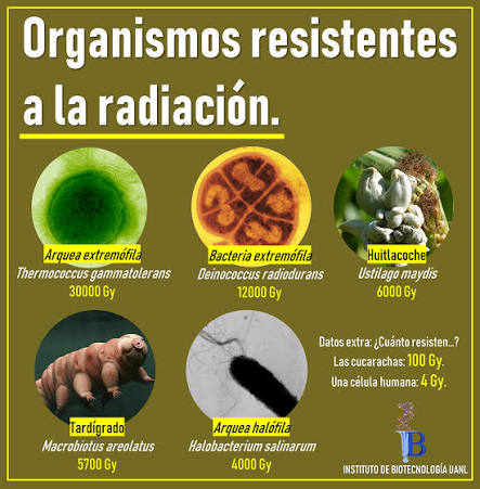 Organismos resistentes a la radiación!! ☢️☢️☢️ Te presentamos un Top 5,  donde encontrarás organismos de los tres dominios: Archaea, Bacteria,  Eukarya, y sus respectivos niveles de resistencia a distintos tipos de  radiación