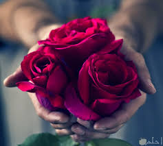 أجمل صور ورد طبيعي بألوان متنوعة ورائعة