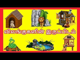 வ லங க கள ன இர ப ப டம தம ழரச Learn Animals And Their Homes Name In Tamil For Kids Children In 2020 Animals And Their Homes Kids Learning Videos Sleeping Songs
