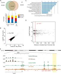Crawford department of physics & engineering crawford_g@fortlewis.edu. Open Chromatin Profiling In Mice Livers Reveals Unique Chromatin Variations Induced By High Fat Diet Journal Of Biological Chemistry