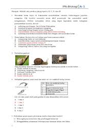 Gangguan ternak, di sekeliling kebun induk mini dibuat pagar bambu setinggi 1 m (gambar 2). Ipa Biologi D Memindahkan Semua Orangutan Yang Ada Ke Kebun Binatang