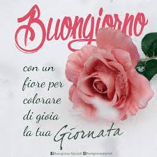 We did not find results for: Pin Su Buongiorno