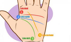 Se spune ca aceasta linie dezvaluie cate putin din ceea ce vei trai. Invata Sa Ghicesti In Palma