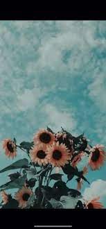 Pin On Omg Love Himm