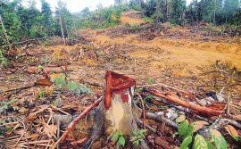 Kealpaan manusia telah menjerut leher sendiri di mana angka flora dan fauna yang pupus semakin meningkat. Kacau Ekosistem