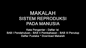 / tujuan upaya promosi kesehatan pada kelompok ini adalah agar mereka tidak jatuh sakit atau terkena penyakit (primary prevention).upaya preventif adalah sebuah usaha yang dilakukan individu dalam mencegah terjadinya sesuatu yang. Makalah Sistem Reproduksi Pada Manusia Doc Pdf Download Contoh Makalah Lengkap