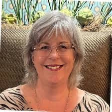 auditnewzealand #auditorgeneral #externalaudit #publicsector