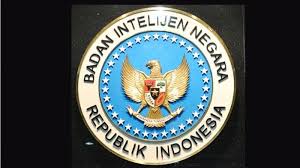 Info Penerimaan Cpns Bin 2019 Mulai Dari Persyaratan Hingga Formasi Ada Lowongan Untuk Lulusan Sma Halaman All Surya