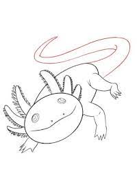 Kids and beginners alike can now draw a great looking desert. How To Draw An Axolotl Draw Central