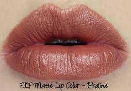 It is important to also use their lip scrub in order to keep the matte lipsticks from caking up (elf makes the best one, very effective!). Lani Loves Elf Matte Lip Color Coral And Praline Swatches Review Matte Lip Color Lip Colors Neutral Lip Color