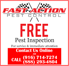 Pest control can be accessed in a few different ways on osrs. Fast Action Pest Control Elk Grove Insect Rodent Exterminators