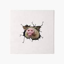 Anything can happen now that sarah is stuck in the wall. Stuck In Wall Art Board Prints Redbubble