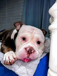 No one love me cause I'm ugly