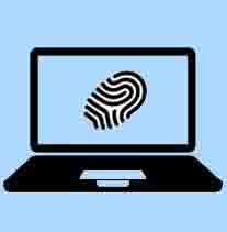 Image result for Cleistochlamys kirkii