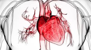 Nov 09, 2021 · heart trivia questions : What Does Bradycardia Refer To About Trivia Questions Quizzclub