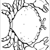 Pypus is now on the social networks, follow him and get latest free coloring pages and much more. Https Encrypted Tbn0 Gstatic Com Images Q Tbn And9gcq9skllblldrhqulaqnzg639j2hasg9rlaa1n3yvrrcekswgqgj Usqp Cau