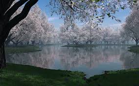February 17, 2021 by admin. Hd Wallpaper Spring Season 3d And Abstract Wallpaper Flare
