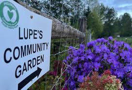 Seed to Supper in the Garden - Philomath News