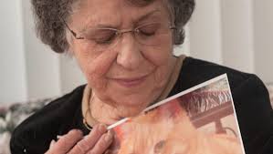 445 route 47 n cape may court house nj 08210. Let A Dying Pet Go With Peace Love