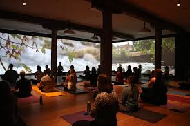 Maybe you would like to learn more about one of these? Namaste On The Brandywine Yoga And Mindfulness Classes Set In Immersive Video Installation At The Brandywine River Museum Of Art Brandywine Conservancy And Museum Of Art