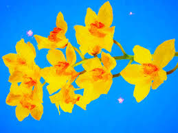 Also great supplies for korean and other asian culture brush arts. Orchid Flowers Paintings On Art Canvas Prints