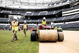 A grama daqui e a grama da Copa do Mundo. Por Ricardo Setyon
