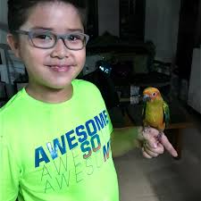 March 29, 2019. Mango🥭 Orange🍊