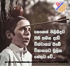 Maybe you would like to learn more about one of these? Download Sinhala Joke 007 Photo Picture Wallpaper Free Jayasrilanka Net