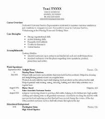 Nursing Home Volunteer Resume Example Nursing Resumes Livecareer