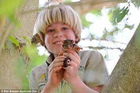 Robert irwin (born 8 june 1939) is an australian naturalist, animal conservationist, former zookeeper, and a pioneering herpetologist who is also famous for his conservation and husbandry work with apex. Steve Irwin S Son Robert Reunites Baby Possums With Their Mother At Australia Zoo Daily Mail Online
