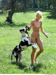 Public dog porn