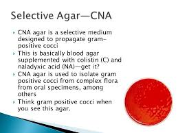Visit chemicalbook to find more columbia cna agar() information like chemical properties,structure,melting point,boiling point,density,molecular formula,molecular weight. Key Media And Concepts That A Physician Has To Know Ppt Download