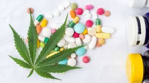 De plus, vapoter du cbd. Cannabis Les Joints Sans Tabac Recommandes Par Un Pneumologue Femme Actuelle Le Mag