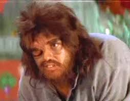 images?q=tbn:ANd9GcRd0CFG2v2QXJkhGq2EqeY