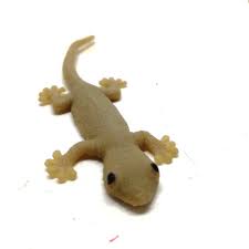 Have you always wanted to be involved in the dental industry? Realistic Fake Lizard Joke From Rubber High Quality Gecko Cat Toy Halloween Prop Cat Toys Pet Lizards Halloween Props
