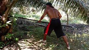 Bagi anda yang tertarik untuk melamar dan tentunya telah memenuhi setiap persyaratan yang dibutuhkan pada lowongan kerja pt kao indonesia tersebut. Teknik Penunasan Pruning Kelapa Sawit By Bambang Al Fath