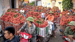 Bac giang shares border with lang son in the north, quang ninh in the east, thai nguyen and hanoi in the west and bac ninh and hai duong in the south. Bac Giang An Emerging Investment Destination Vietnam Briefing News