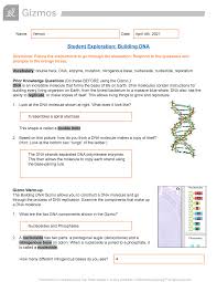 If necessary, click reset to start the building process. Dna Gizmo Answers Studocu