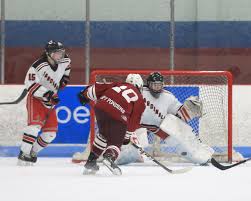 2020 All-Western Mass. Hockey: Selections for Division I, Division III &  Division IIIA boys, Division I girls