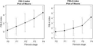 Image result for Fibrosis Probability Score