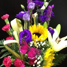 Questions, comments, anything related to the members' gallery. Floral Gallery Home Facebook