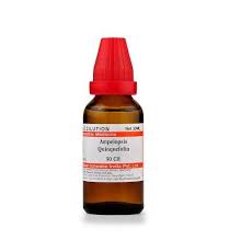 Ampelopsis Quinquefolia Homeopathy Dilution 6c 30c 200c 1m 10m In 2020 Homeopathy Homeopathic Willmar