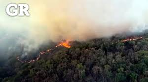Un incendio consume el cerro de las mitras en el municipio de santa catarina, nuevo león, la noche de este jueves. Cumple Incendio En La Primavera 24 Horas Youtube