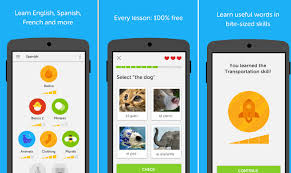 The duolingo app is available on most major platforms, including windows, mac, ios, and android. Best Apps To Learn Foreign Languages 2021
