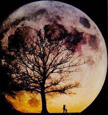 Gaaaaaaah Beautiful Moon Tree Silhouette Art