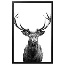 bjorksta foto met lijst hoorns zwart 78x118 cm ikea kunst ophangen hoorns schildersdoek