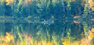 $10 to park, $2 per person to go in the pool. Vermont State Parks Camping Is The Overlooked Gem Of The Northeast