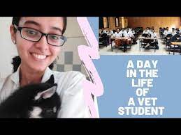 How To Become A Veterinary Doctor? [Step-By-Step Guide] | Leverage Edu