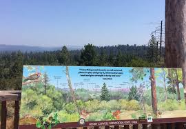 However, this is an idyllic place to visit no matter what time of year. Henry Cowell Redwoods State Park Day Trip Felton California