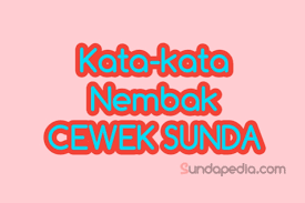Kata kata cinta bahasa inggris buat orang tersayang lainnya segera menyusul deh. Kata Kata Buat Nembak Cewek Sunda Halus Romantis Dan Lucu Sundapedia Com